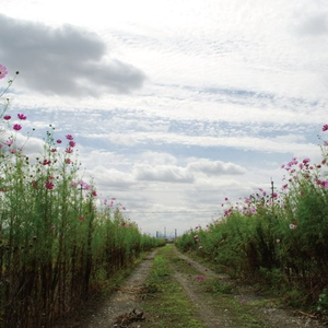国产精品欧美视频另类专区
