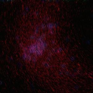 国产精品欧美视频另类专区
