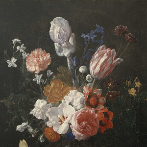 国产精品欧美视频另类专区
